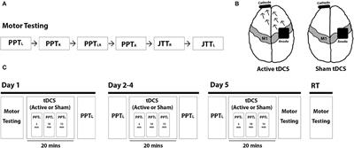 Effects of Transcranial Direct Current Stimulation on Motor Function in Children 8–12 Years With Developmental Coordination Disorder: A Randomized Controlled Trial